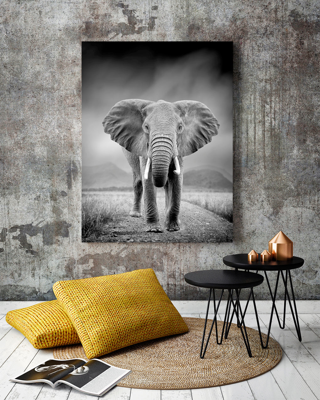 B Y N ELEFANTE GRIS