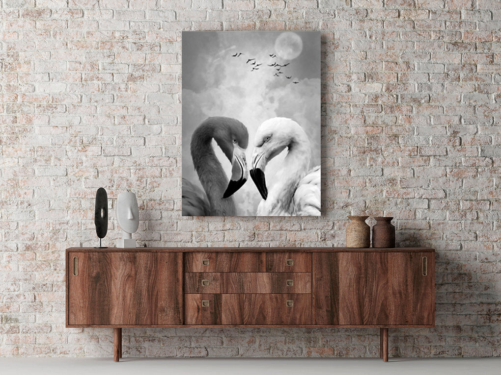 B Y N FLAMINGOS GRISES