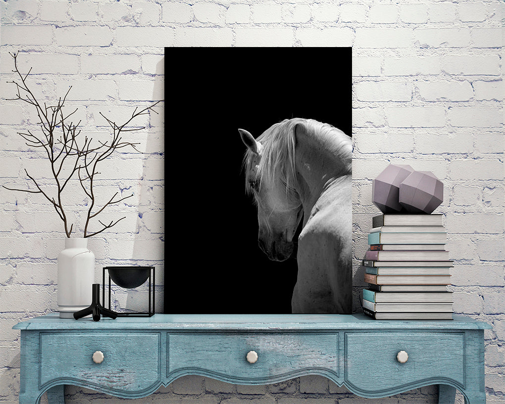 B Y N CABALLO BLANCO 01