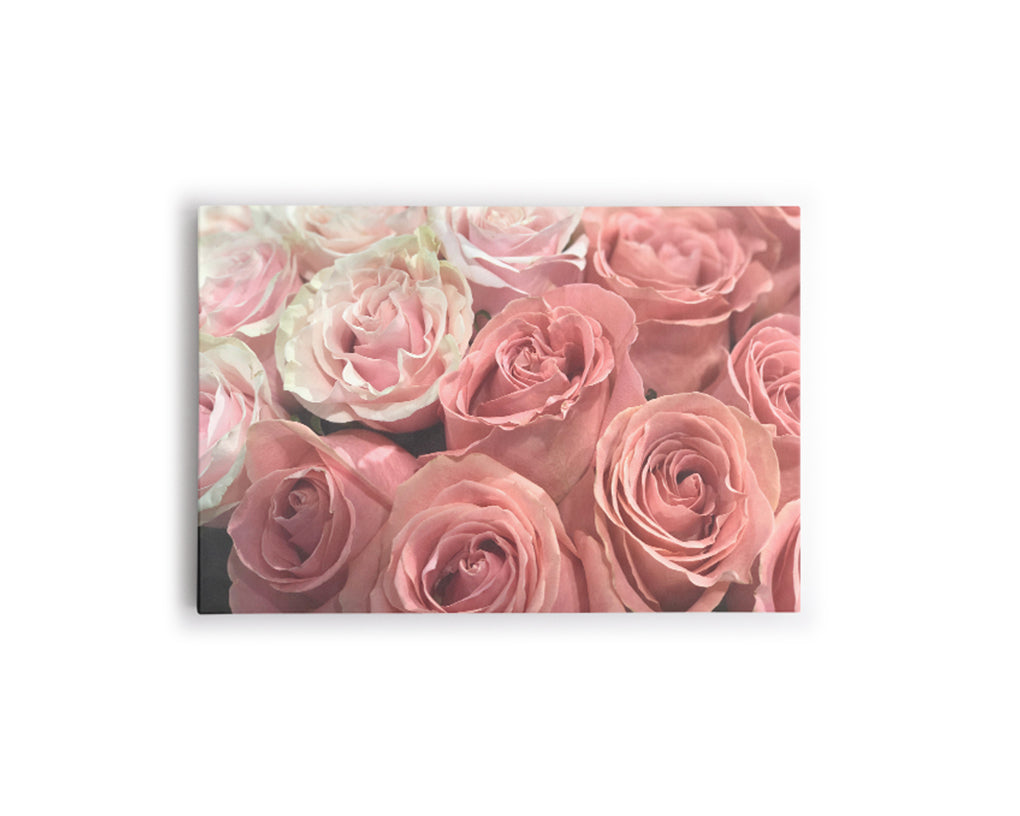FLORES 26