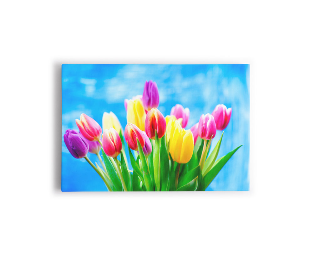 FLORES 19