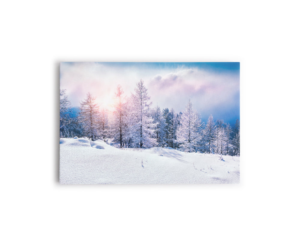 N- ARBOLES CUBIERTOS DE NIEVE 12