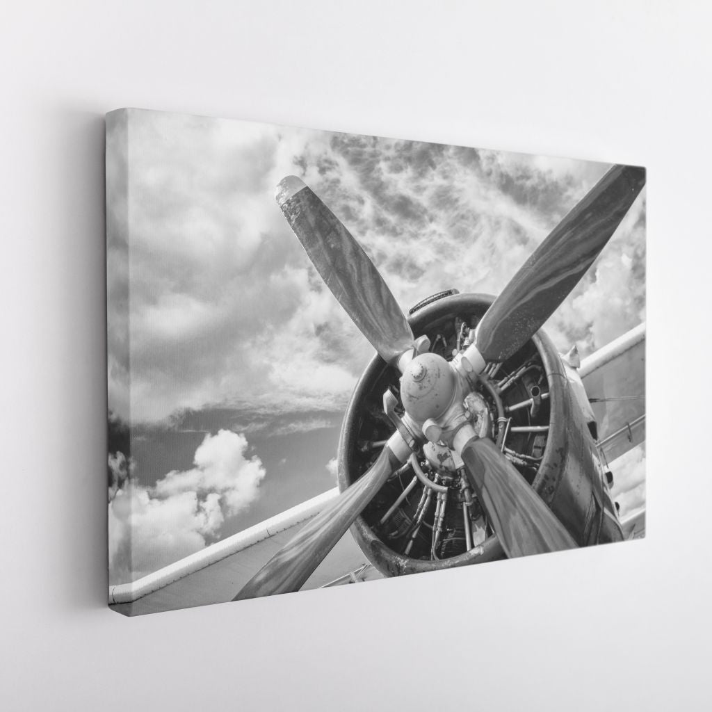 BLANCO & NEGRO 10