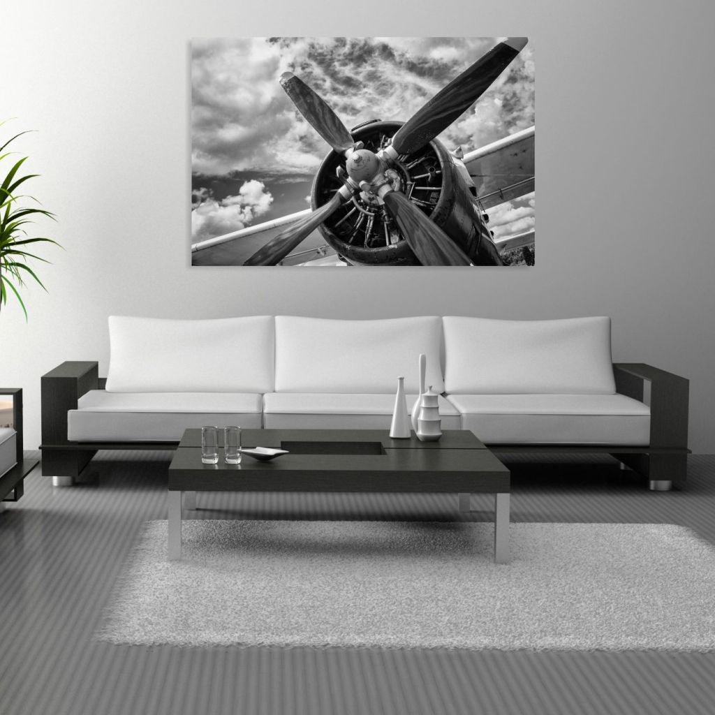 BLANCO & NEGRO 10