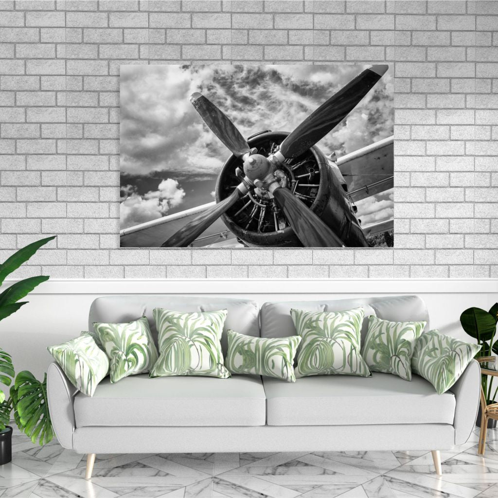 BLANCO & NEGRO 10