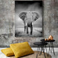 B Y N ELEFANTE GRIS
