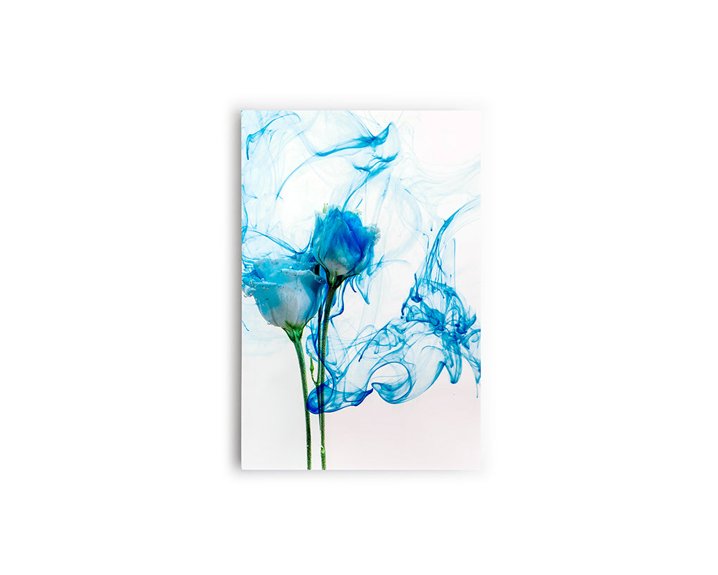 FLORES 18