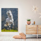 A- CABALLO BLANCO 66