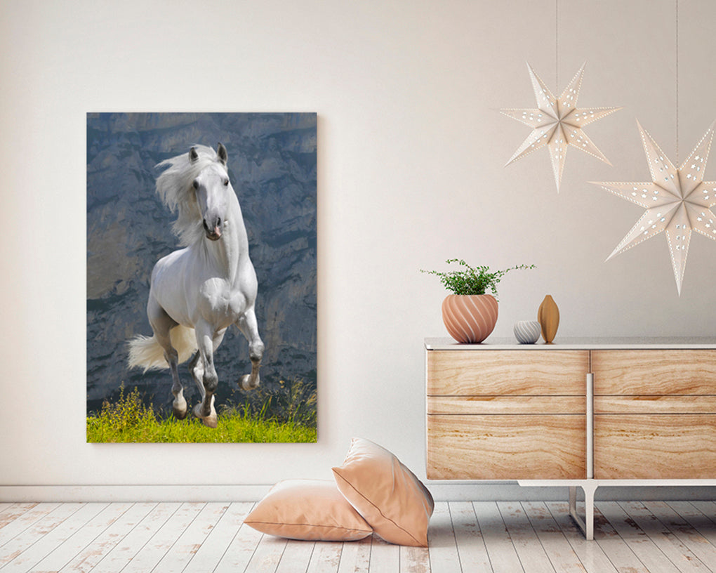 A- CABALLO BLANCO 66