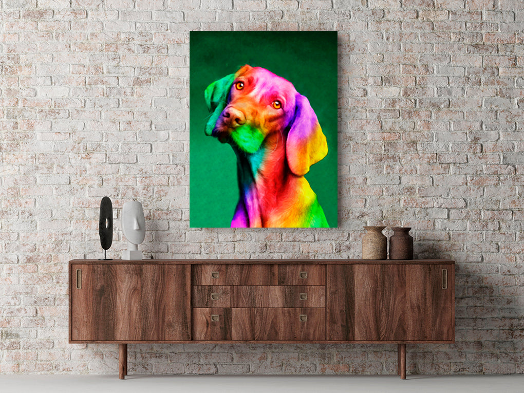 A- PERRO COLORES 83