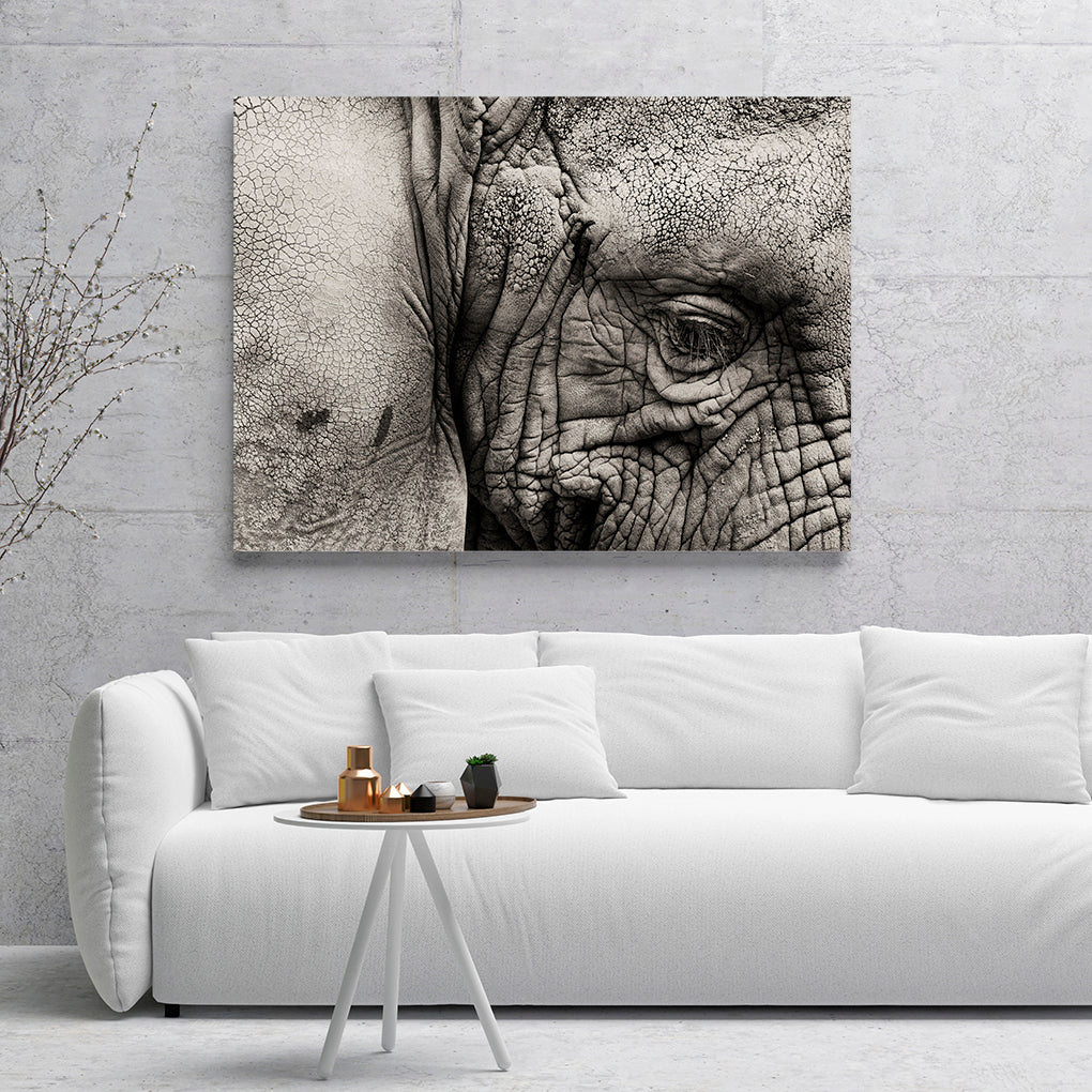 B Y N OJO ELEFANTE