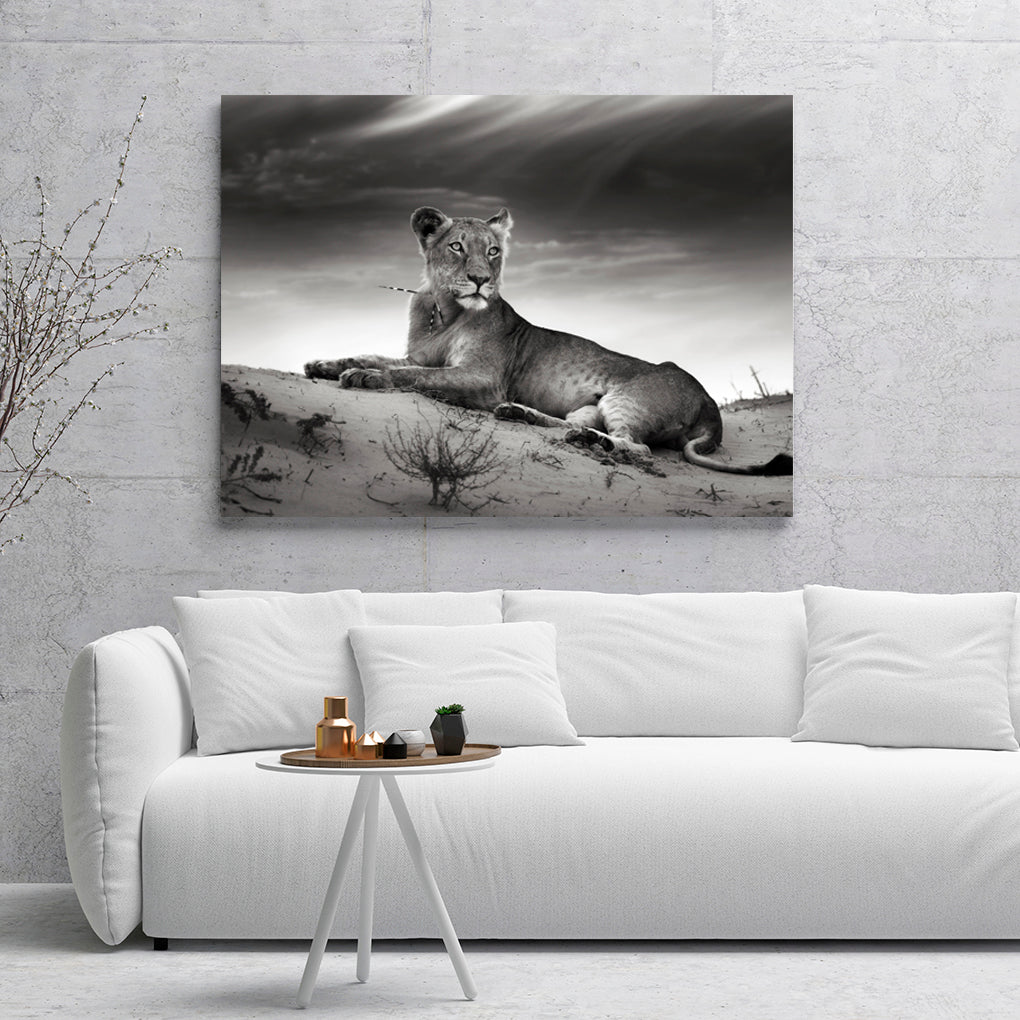 B Y N LEONA GRIS