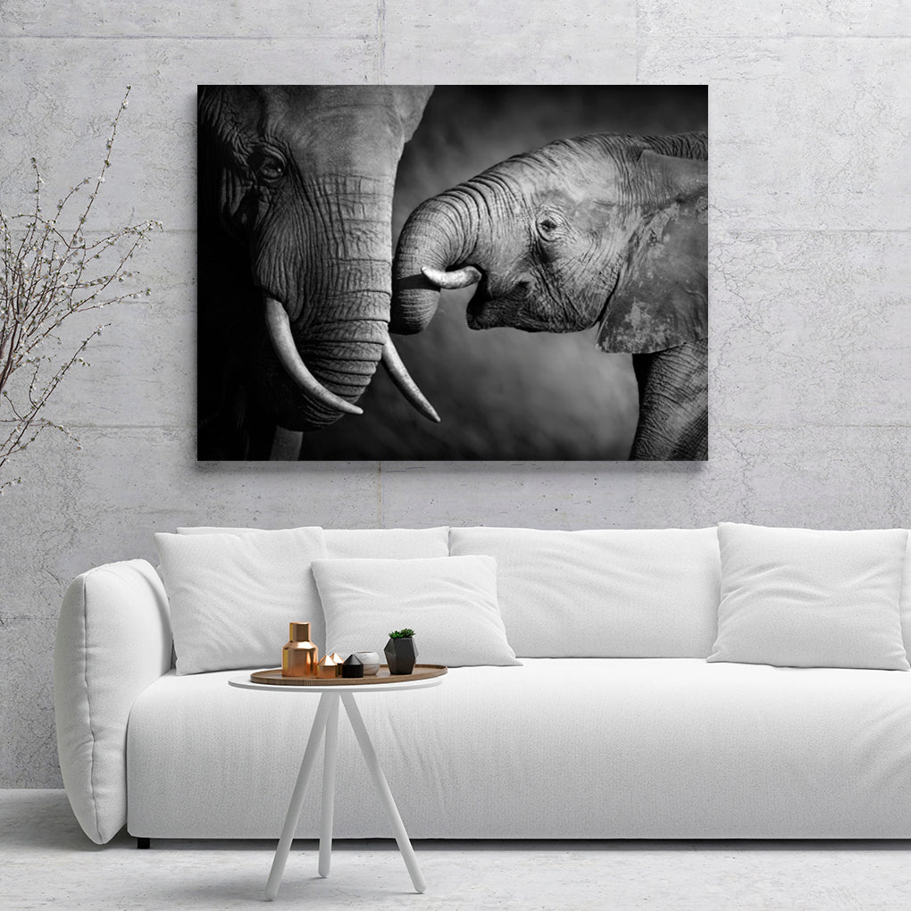 BLANCO Y NEGRO 01