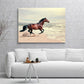 A- CABALLO PLAYA 70