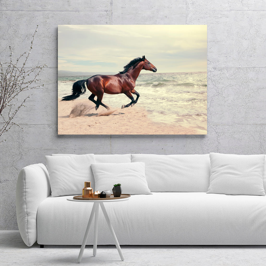 A- CABALLO PLAYA 70