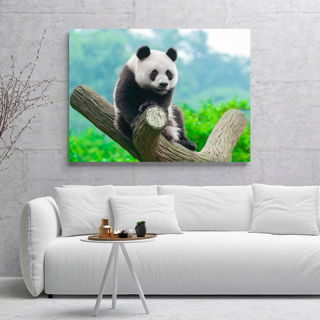 A- PANDA EN TRONCO 56