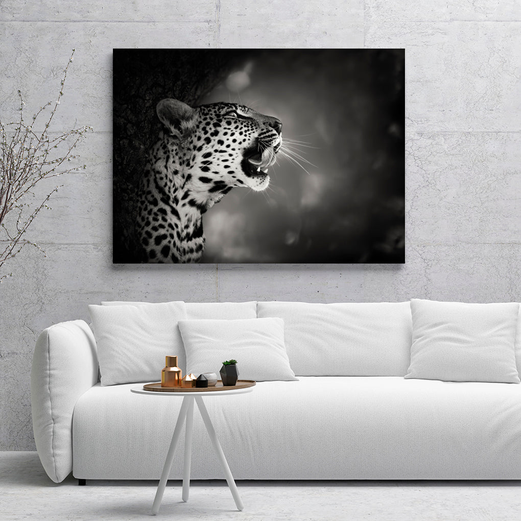 B Y N LEOPARDO