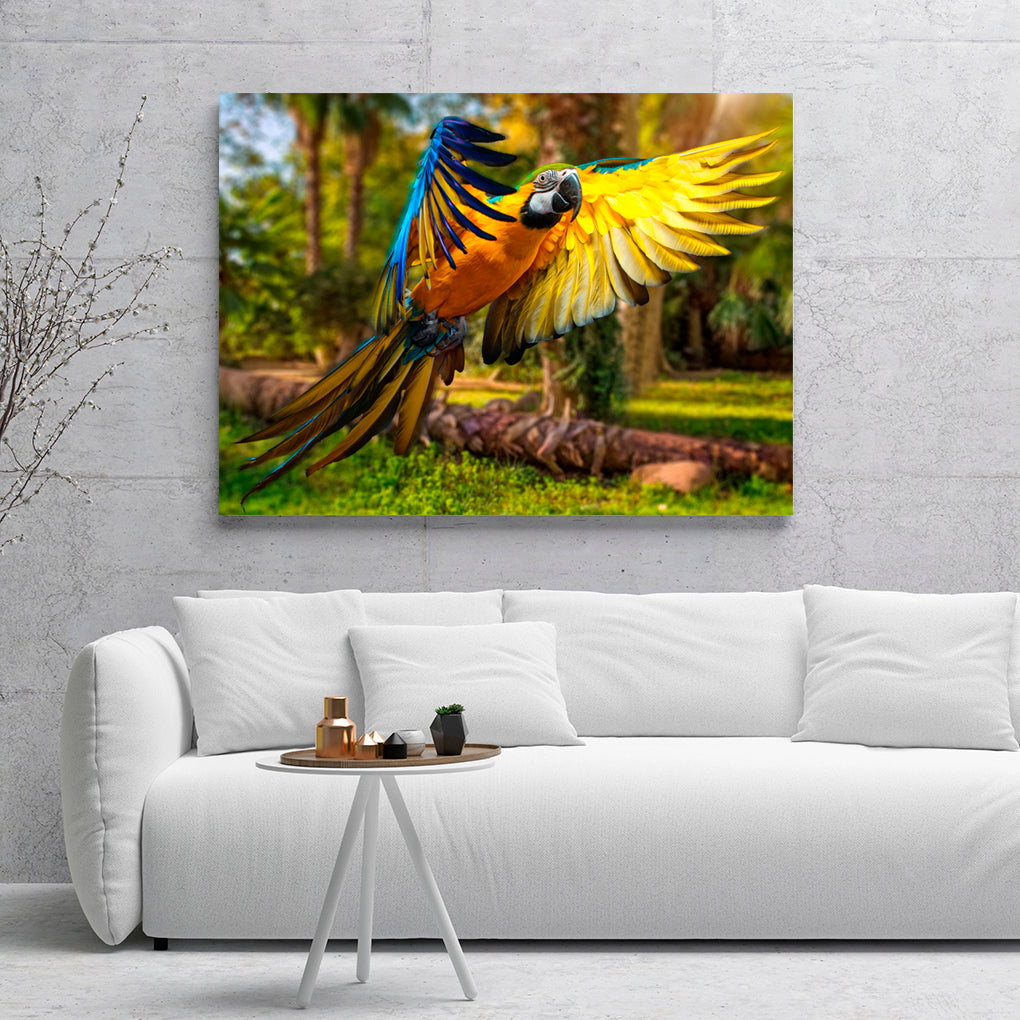 A- GUACAMAYA AZUL AMARILLA 76