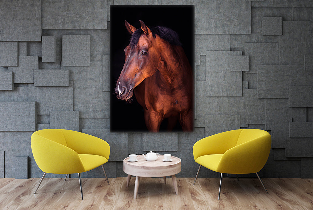 A- CABALLO MARRÓN 57