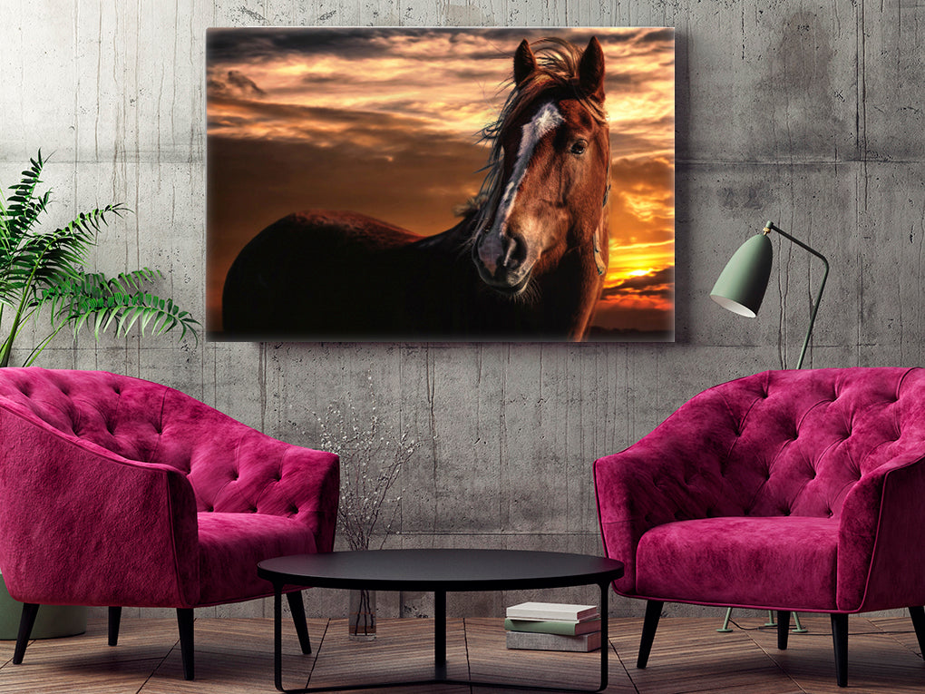 A- CABALLO HORIZONTE 79