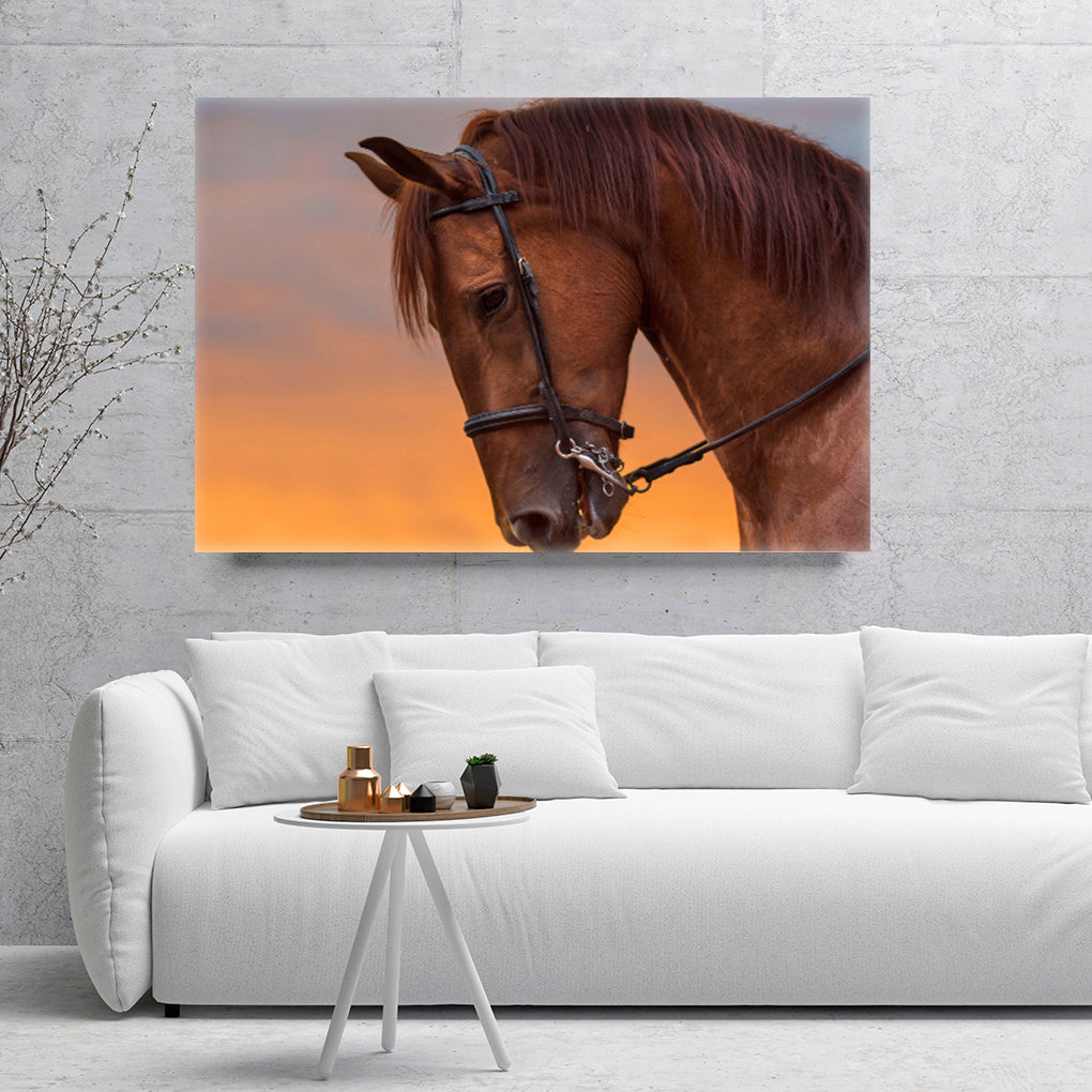 A- CABALLO NARANJA 59