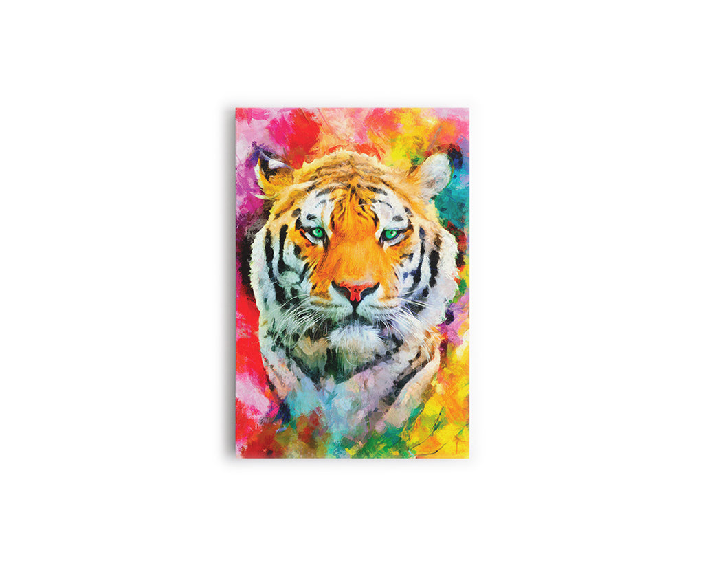 A- TIGRE COLORES 91