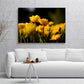 FLORES O9