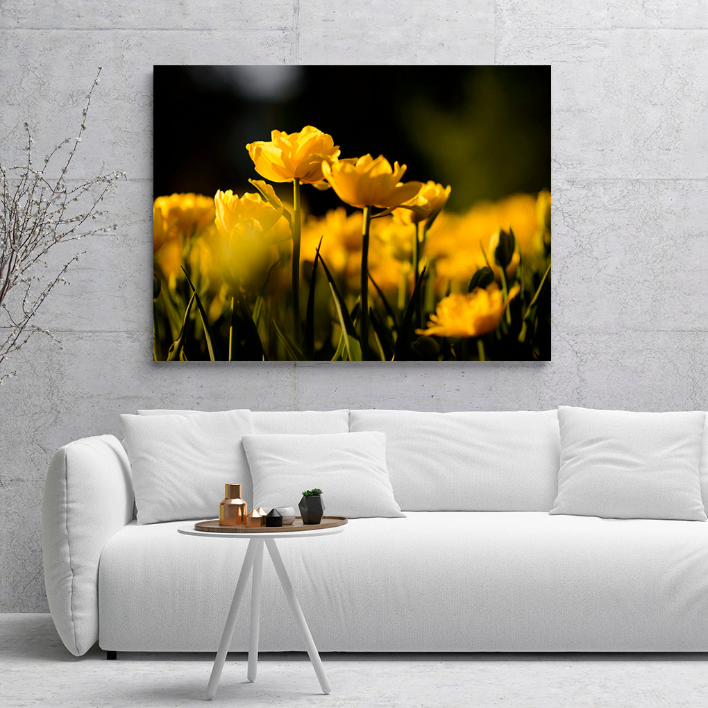FLORES O9