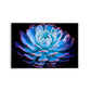 FLORES 29