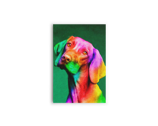 A- PERRO COLORES 83