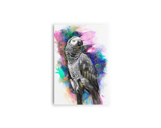 A- LORO GRIS 81
