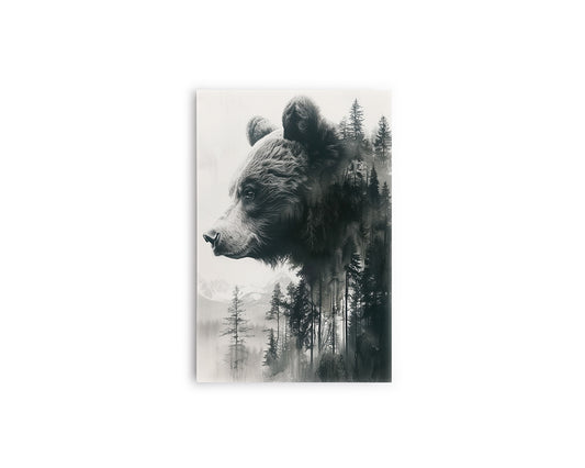 A- OSO EN BOSQUE  19