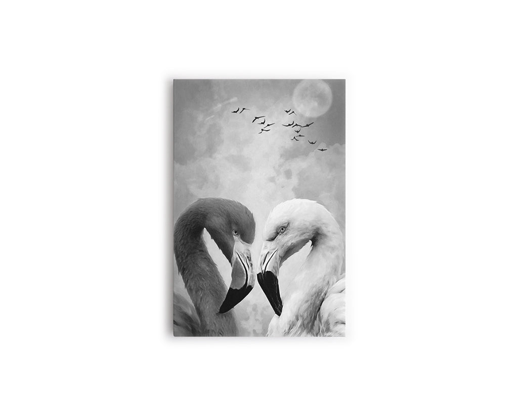 B Y N FLAMINGOS GRISES