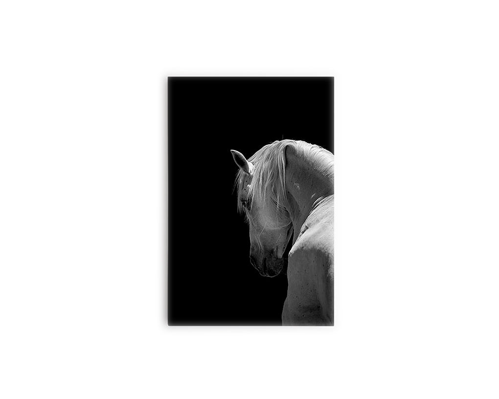 B Y N CABALLO BLANCO 01