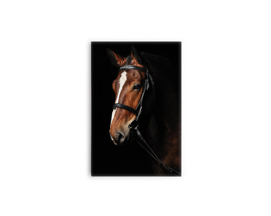 A- CABALLO AMARRADO 69