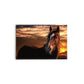 A- CABALLO HORIZONTE 79