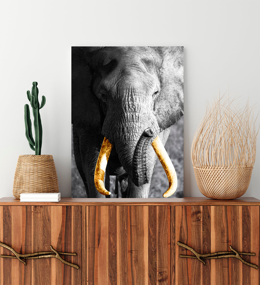 A- ELEFANTE GRIS 62