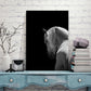 B Y N CABALLO BLANCO 01