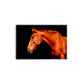 A- CABALLO CASTAÑO 88