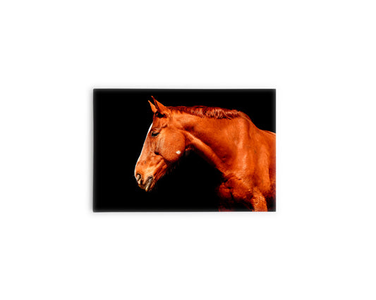A- CABALLO CASTAÑO 88