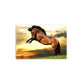 A- CABALLO BRINCO 61