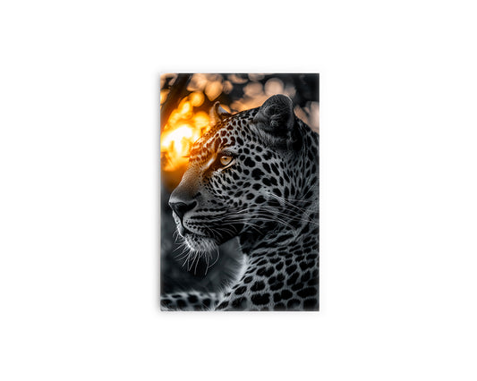 A- LEOPARDO ATARDECER 55