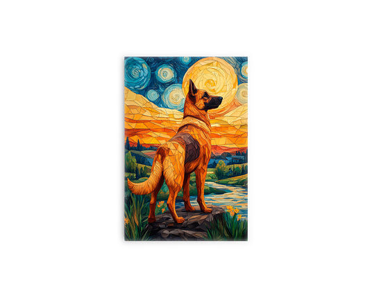 A- PERRO NOCHE ESTRELLADA 43