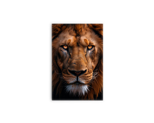 A- LEÓN DE FRENTE 25