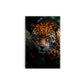 A- LEOPARDO NARANJA 23