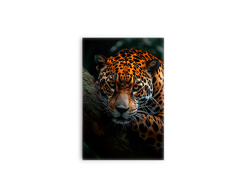 A- LEOPARDO NARANJA 23