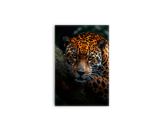 A- LEOPARDO NARANJA 23