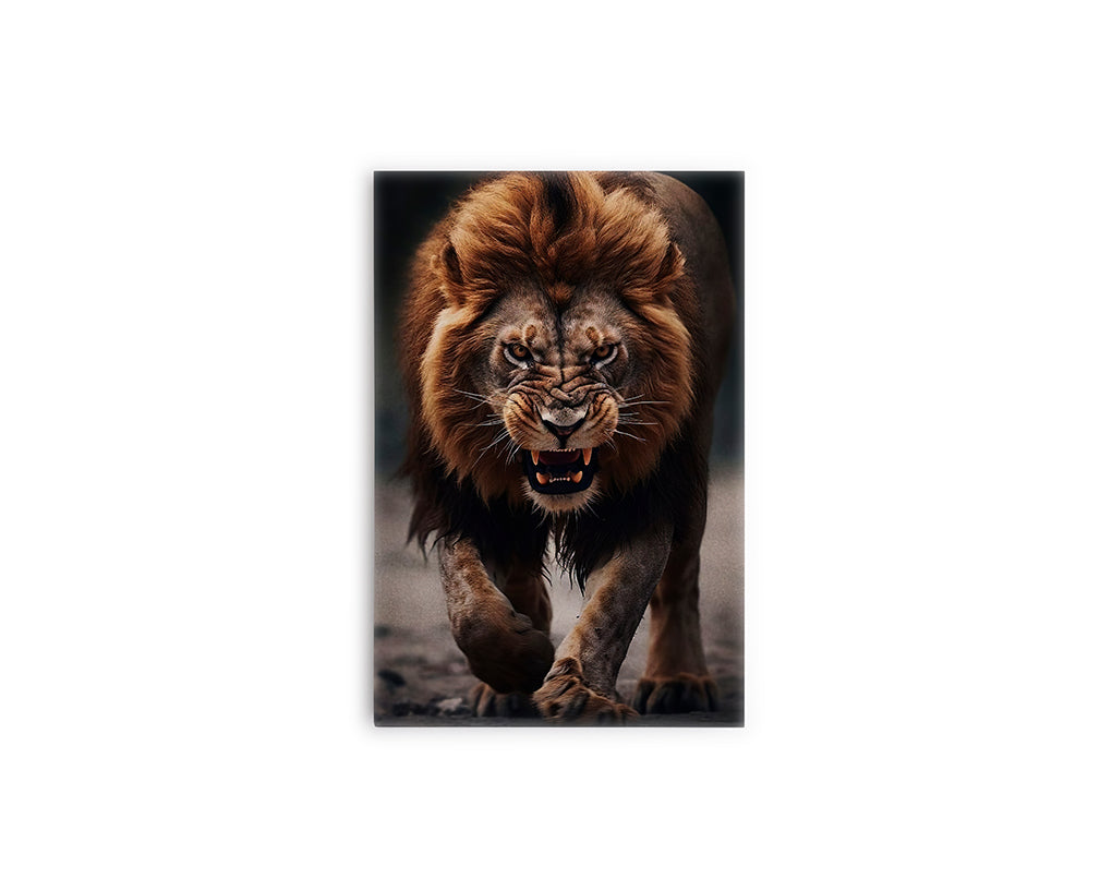 A - LEÓN COLMILLOS 02