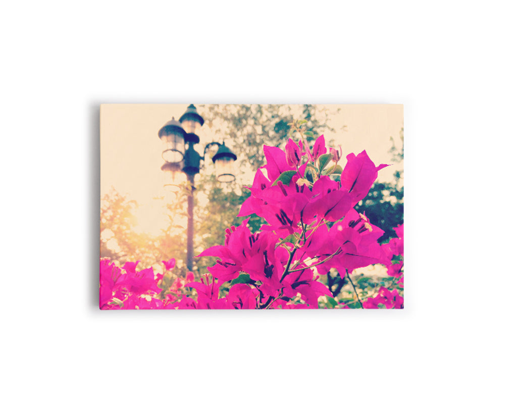 FLORES O7