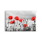 FLORES 24